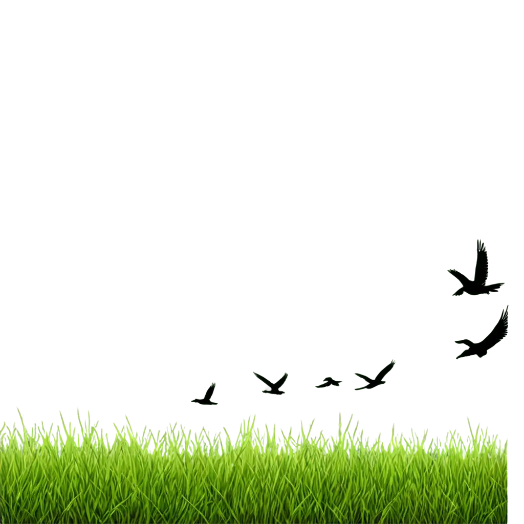 HighQuality-Grass-PNG-with-Birds-for-Transparent-Background-Use