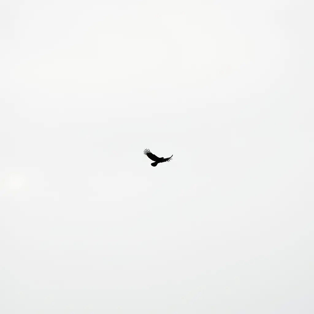 on a totally white canvas a small, elegant and delicate black vulture can be seen in the distance, flying towards the camera