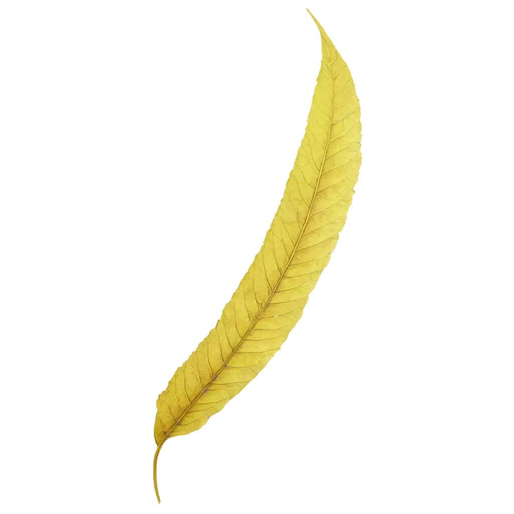 HighQuality-Yellow-Leaf-PNG-Image-for-Versatile-Digital-Applications