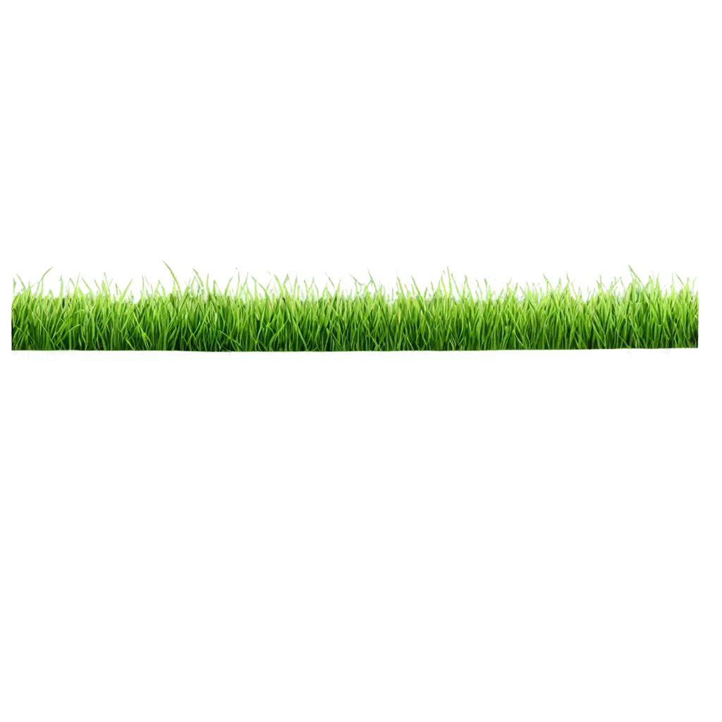 Vibrant-Spring-Grass-Border-PNG-for-Enhanced-Visual-Appeal