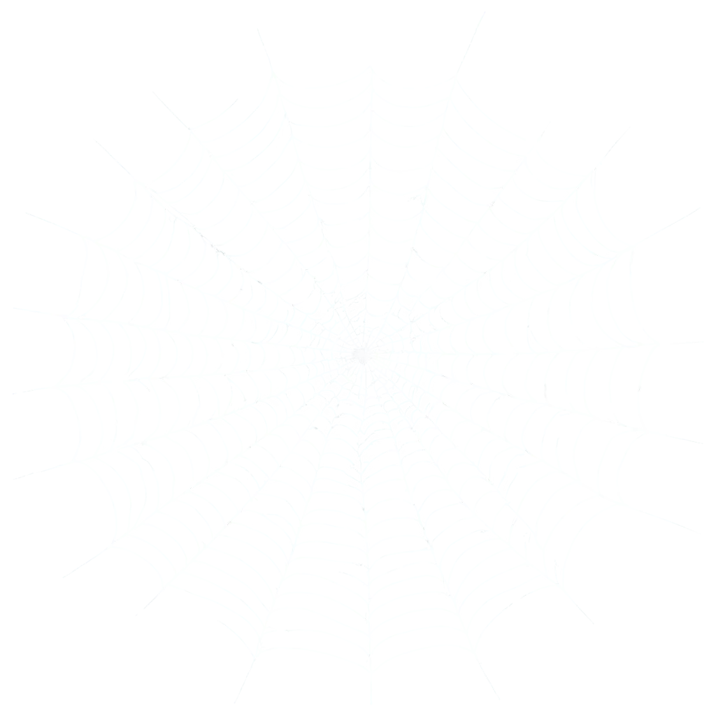 Spider Web