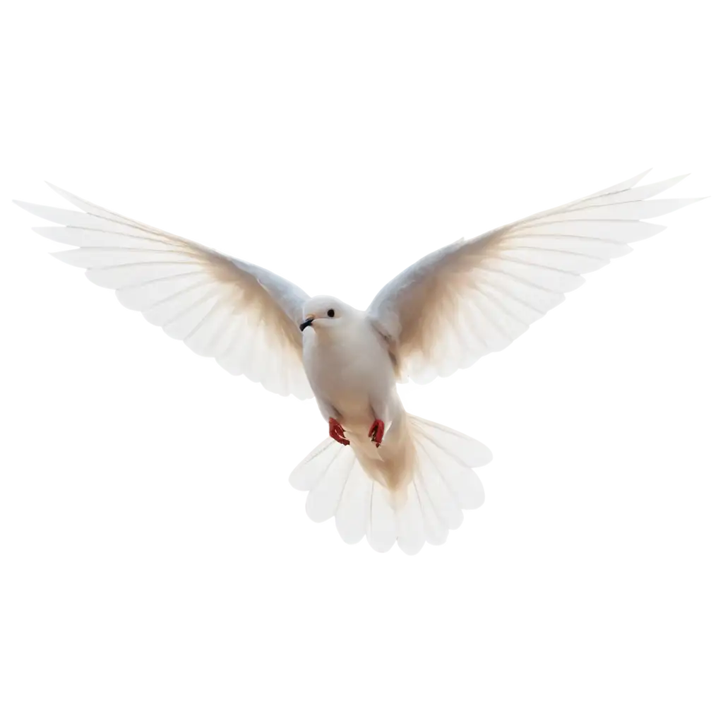 PNG-Image-Usage-AnalysisDove-Flying-Silhouette-PNG-Image-for-Versatile-Design-Applications