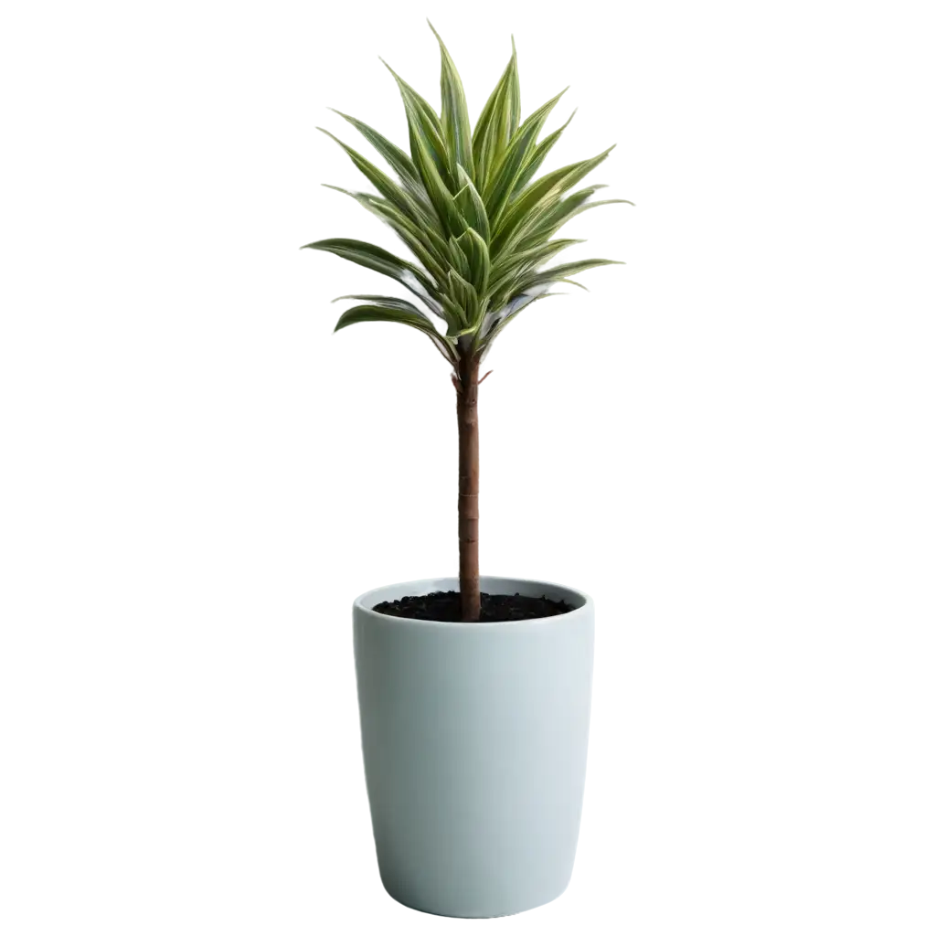 HighQuality-Long-Plant-Pot-PNG-Image-for-Versatile-Gardening-Home-Dcor-Applications