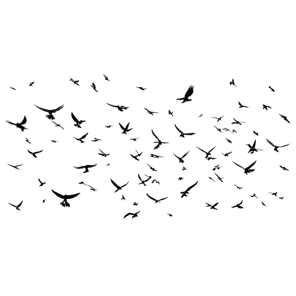 Many-Birds-in-Sky-with-Plane-PNG-Image-Captivating-Aerial-Scene