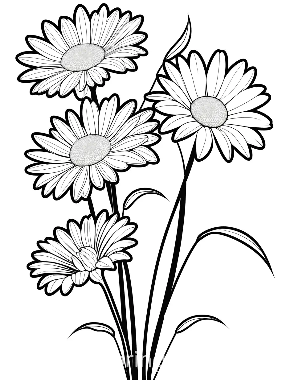 Three-Daisy-Flowers-Connected-by-a-Stem-on-White-Background