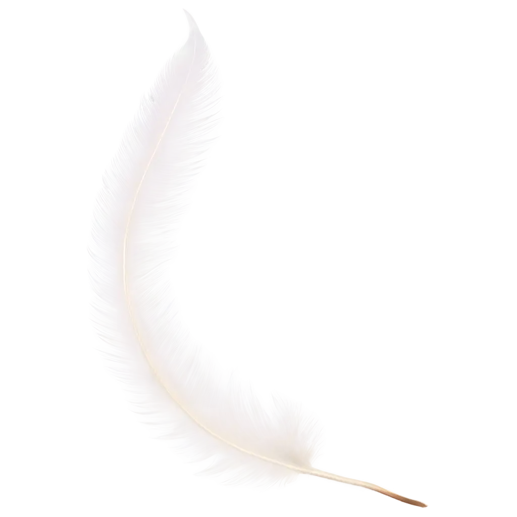 Stunning-White-Feather-Closeup-PNG-Image-for-HighQuality-Visuals