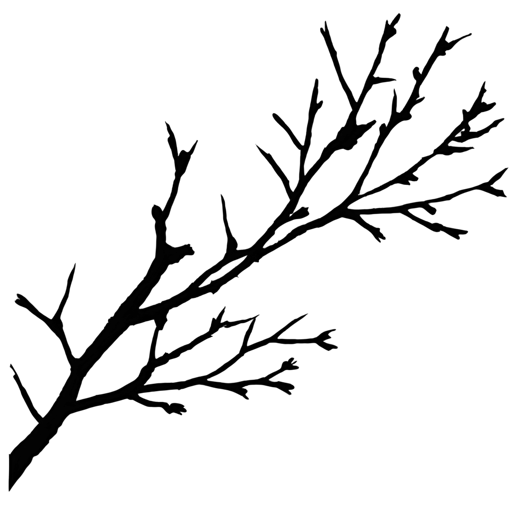 Shadow-of-a-Black-Cherry-Blossom-Branch-PNG-Image-for-Artistic-and-Design-Use