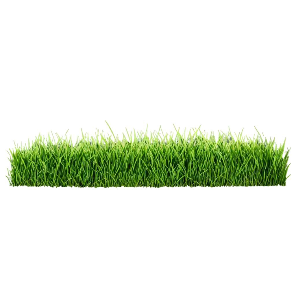 Vibrant-Green-Grass-PNG-Enhance-Your-Designs-with-HighQuality-Transparency