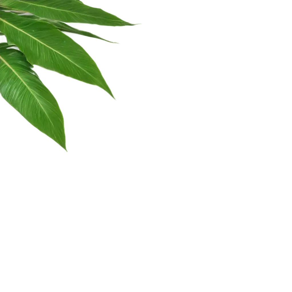 HighQuality-Palm-Tree-Leaf-PNG-for-Versatile-Digital-Use