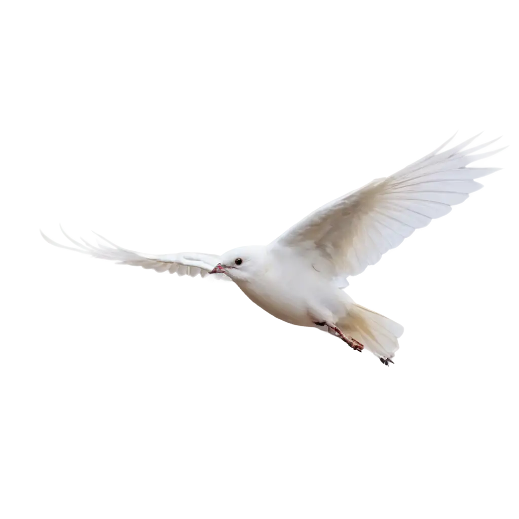 Flying-Bird-PNG-Image-HighQuality-Transparent-Design-for-Versatile-Use