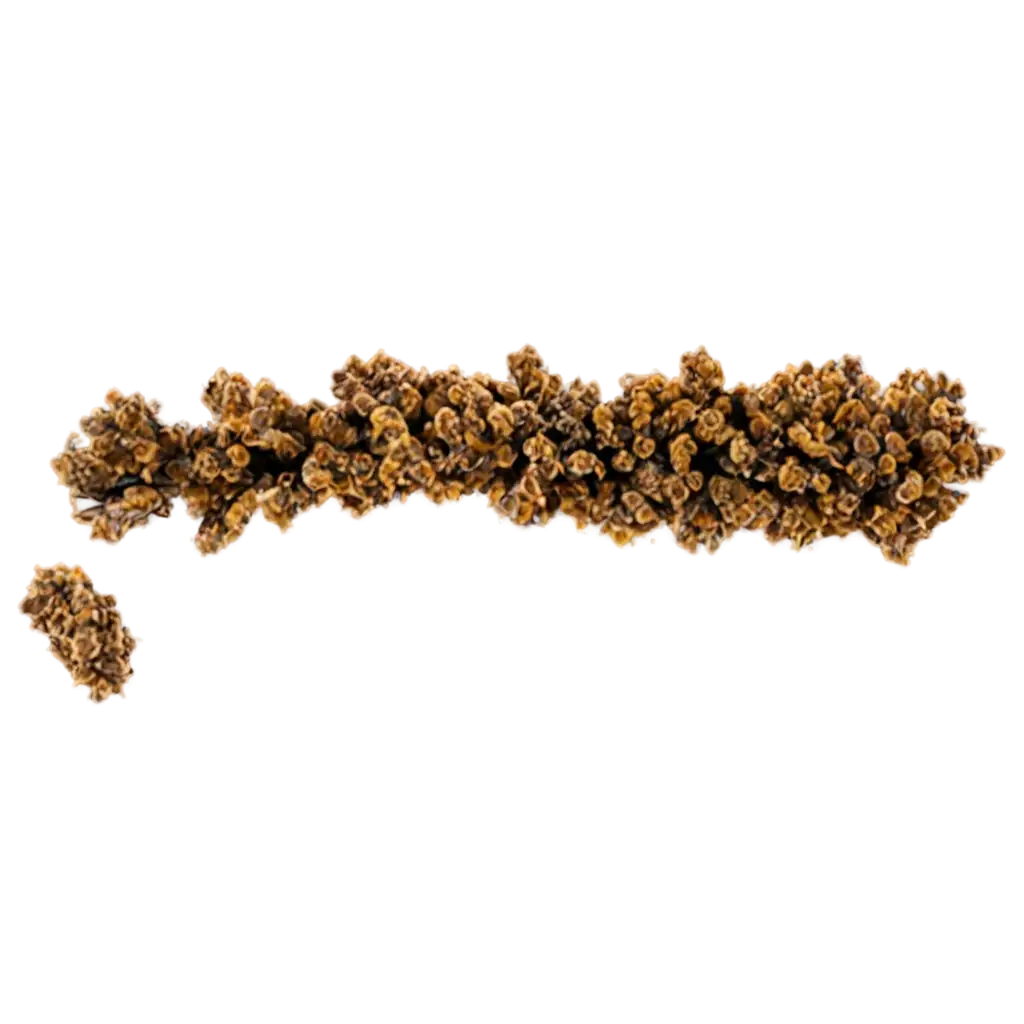 Propolis-Plant-PNG-ImagePropolis-PNG-Usage-Scenarios-HighQuality-Transparent-Visual-for-Diverse-Uses