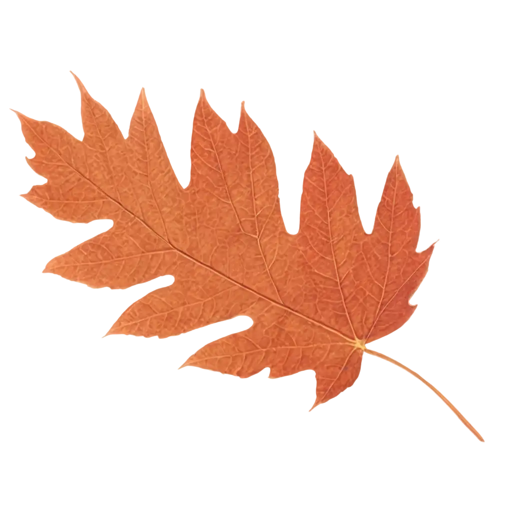 Autumn-Leaf-PNG-Image-High-Quality-Transparent-Background-for-Versatile-Use