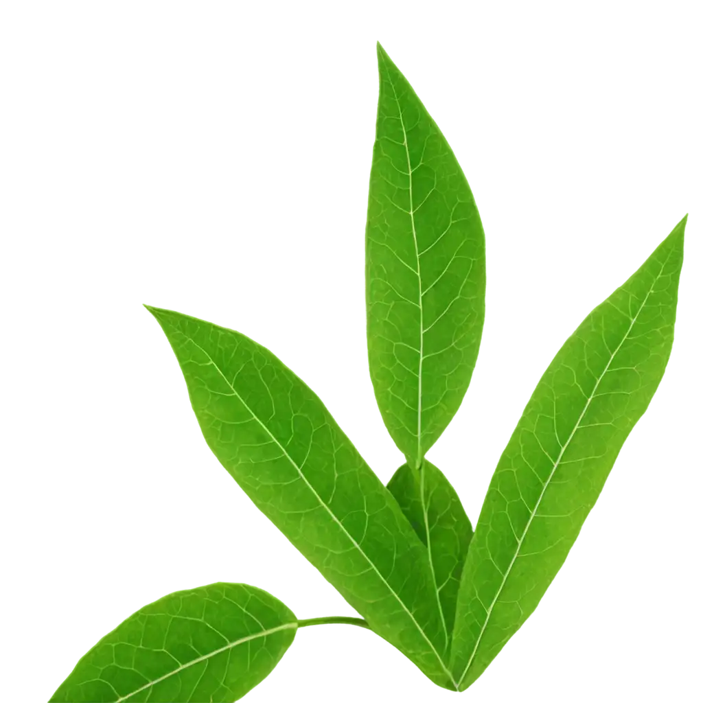 Vibrant-Green-Leaves-PNG-Image-Fresh-and-Detailed-Foliage-for-Natural-Designs