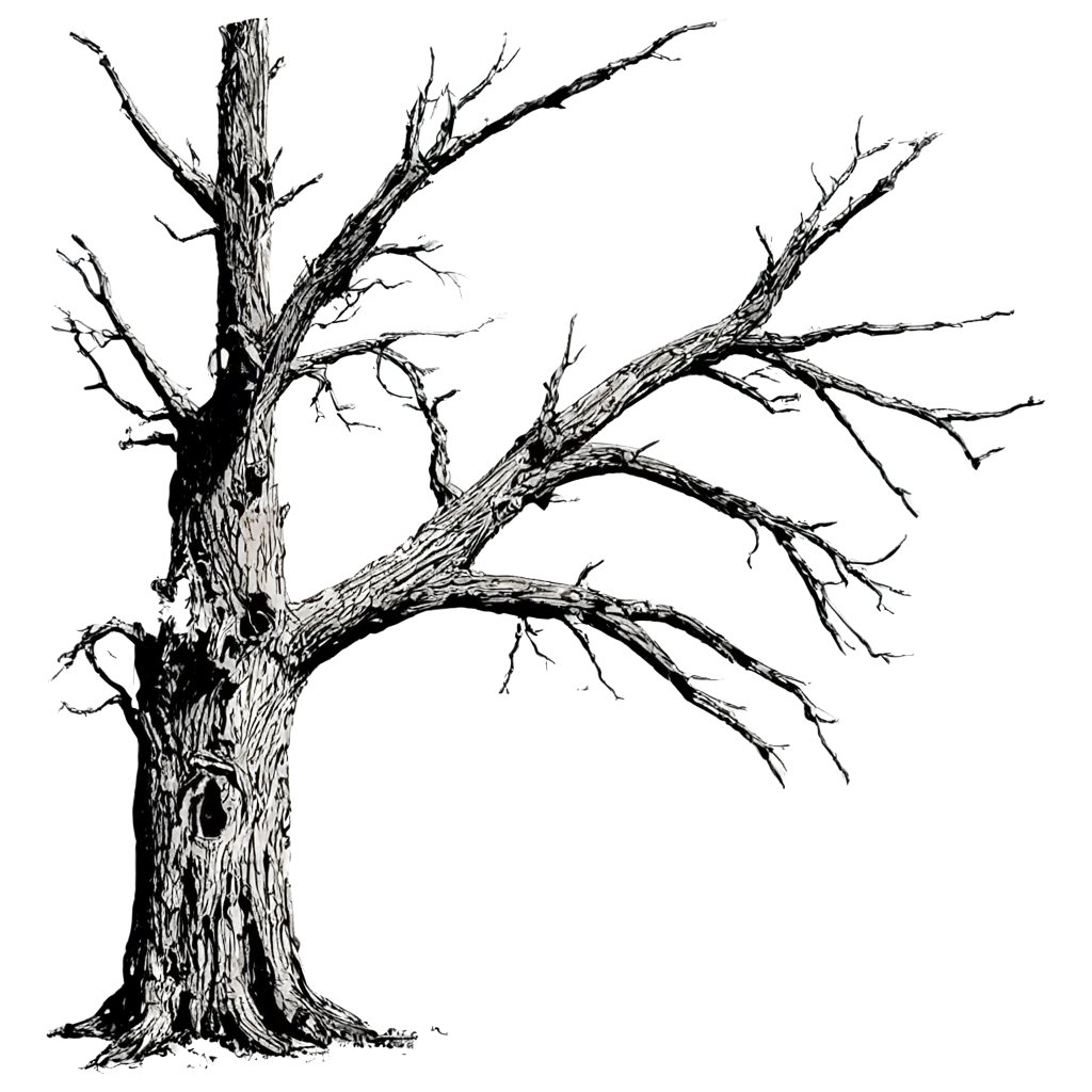 Spooky-Old-Dead-Tree-PNG-Capture-the-Essence-of-Eerie-Aesthetics-in-High-Quality