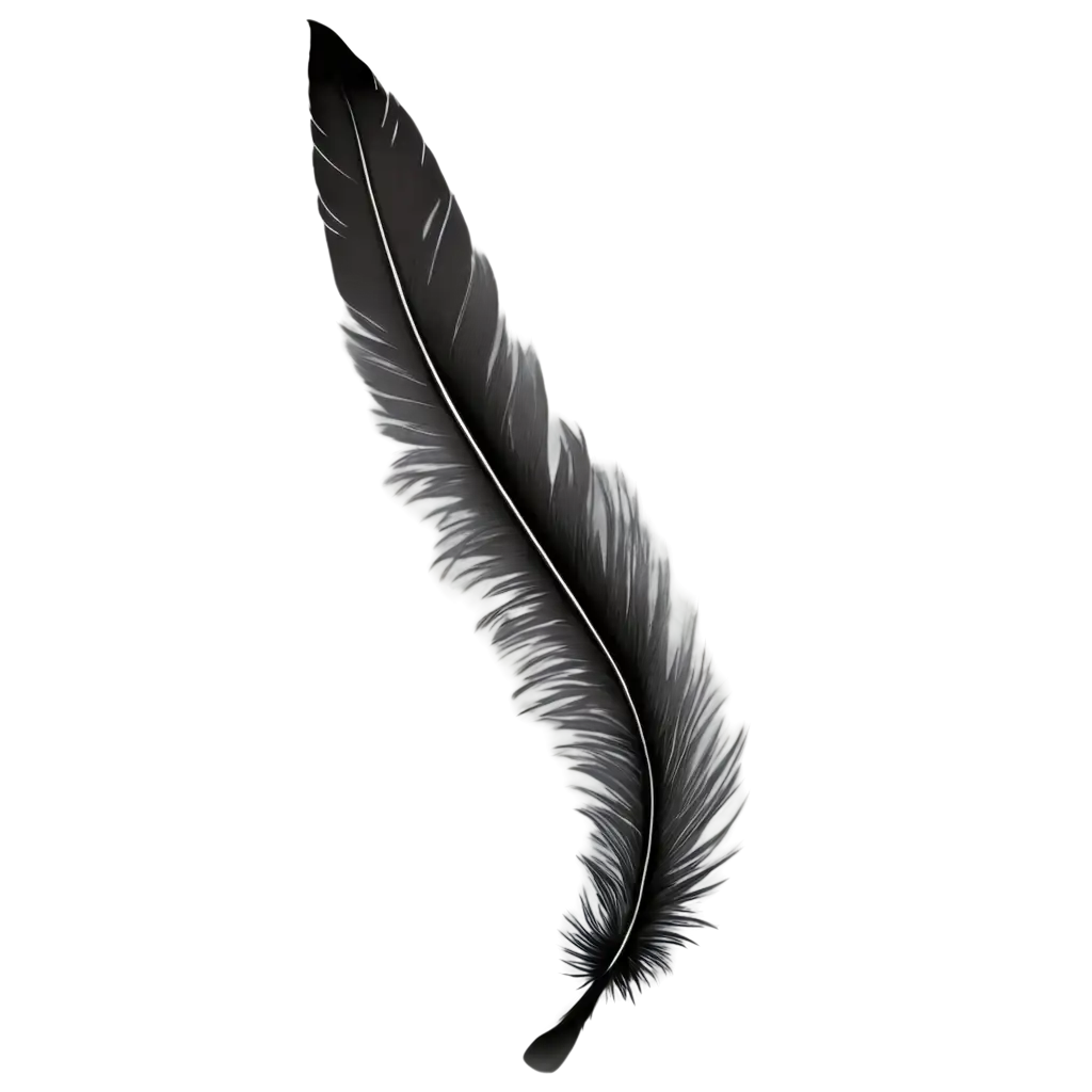 Feather-PNG-Image-HighQuality-Transparent-PNG-for-Versatile-Creative-Projects