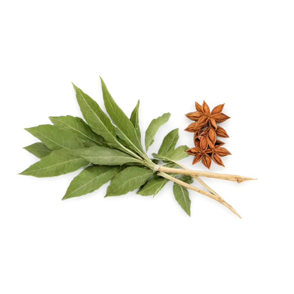 HighQuality-Spice-Herb-PNG-Image-for-Culinary-and-Design-Use