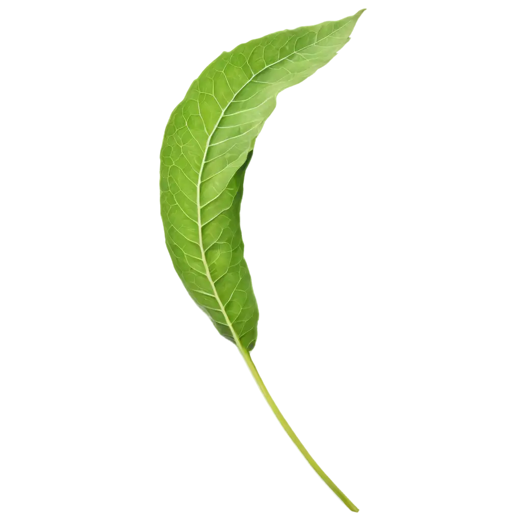 Green-Leaf-Twisted-by-the-Wind-PNG-Image-for-Creative-and-Environmental-Visuals