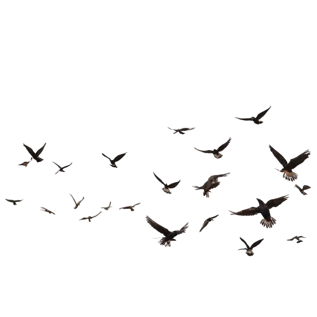 Flying-Birds-in-Sky-PNG-HighQuality-Transparent-Image-for-Versatile-Use