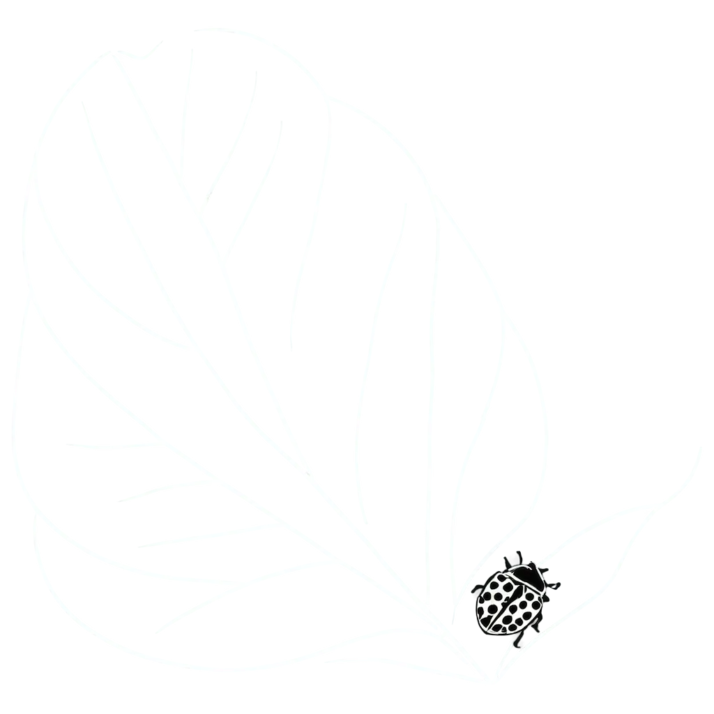 Elegant-Minimalist-Ladybug-on-Leaf-PNG-Image-Soft-Monochromatic-Line-Drawing