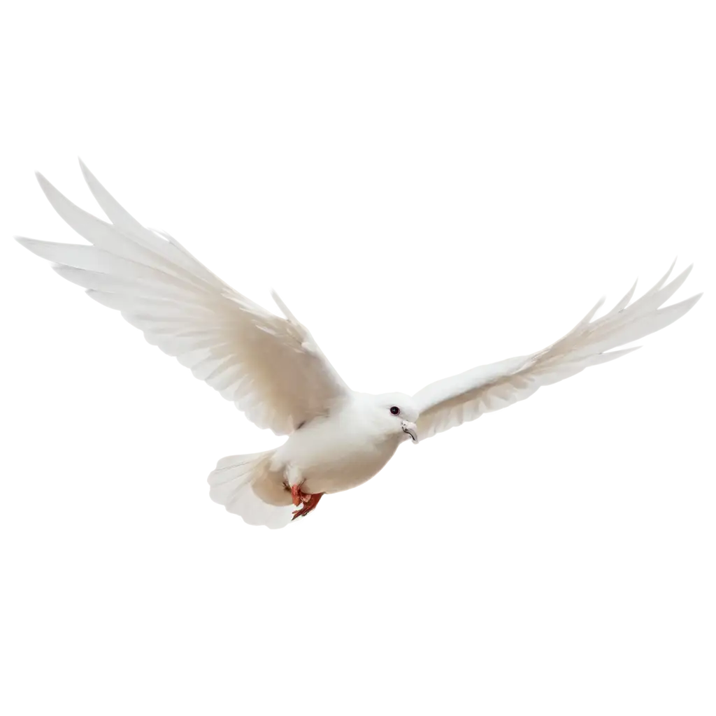 Flying-White-Pigeon-PNG-Graceful-Bird-in-HighResolution-Imagery