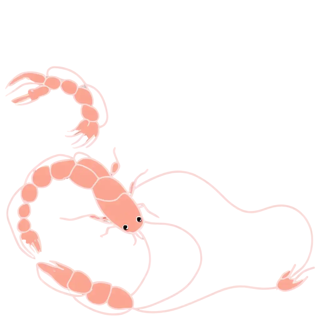 Shrimp-Kawaii-Outline-PNG-Adorable-HighQuality-Image-for-Digital-Projects