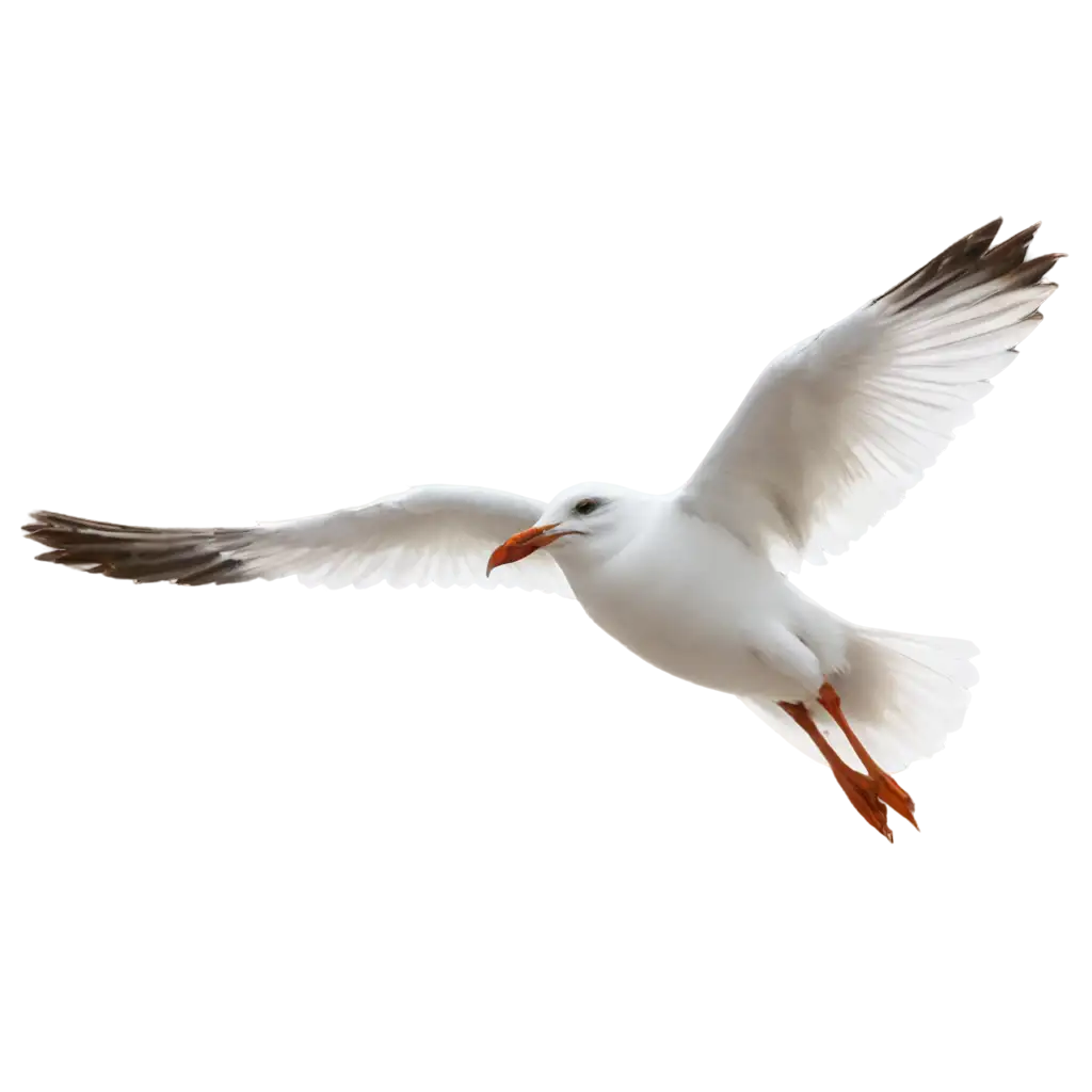 Normal-White-Seagull-Flying-in-PNG-Format-with-Green-Screen-Background