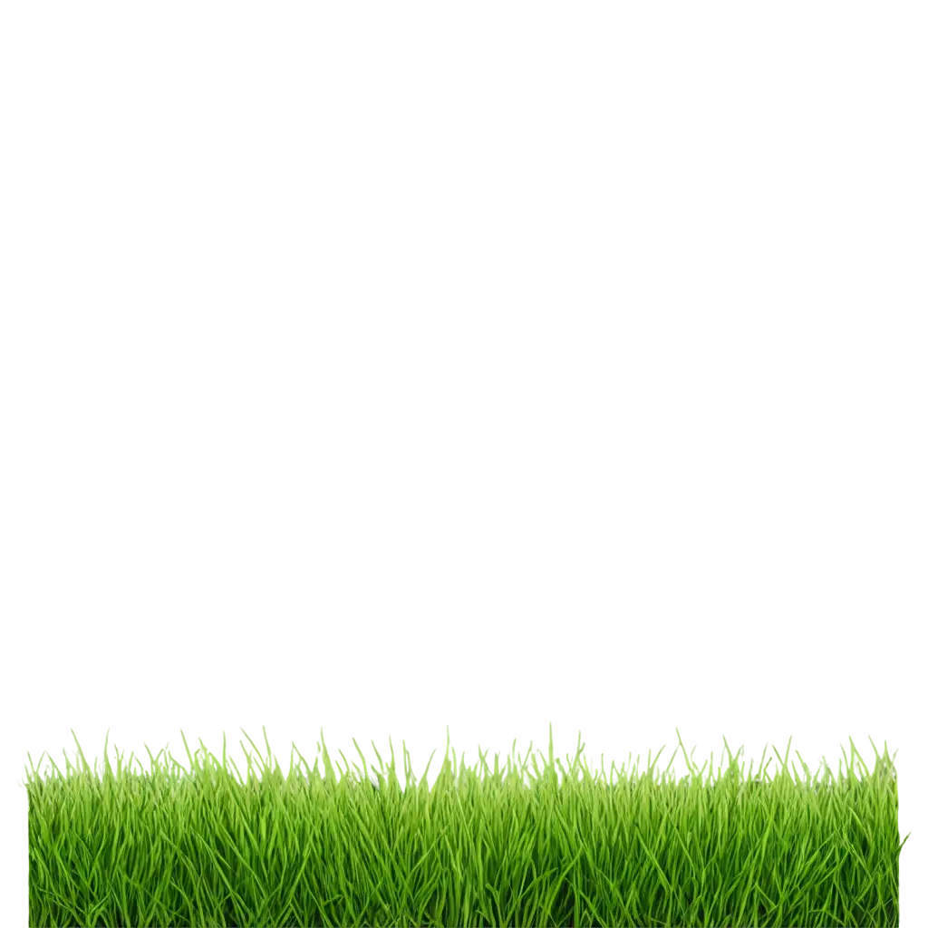 HighQuality-Grass-PNG-Image-for-Versatile-Design-and-Creative-Projects