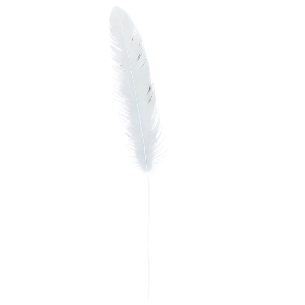 Single-White-Feather-PNG-A-Versatile-Image-for-Creative-Applications