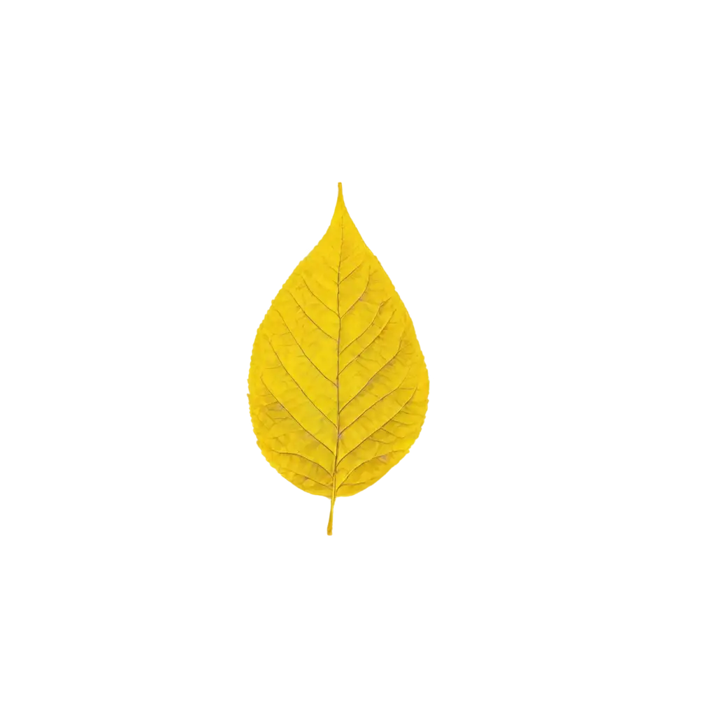 Yellow-Leaf-PNG-Image-HighQuality-Transparent-Background-for-Creative-Projects