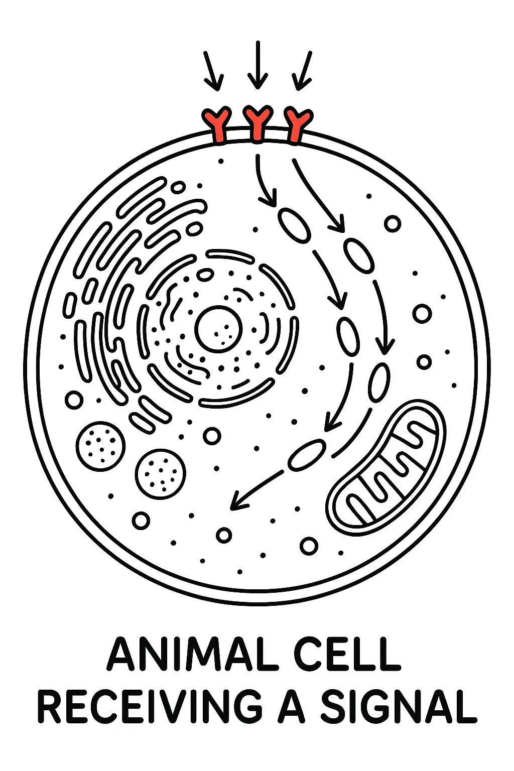 https://file.aiquickdraw.com/imgcompressed/img/compressed_aad563b7334166f65a0be17f380c8925.webp