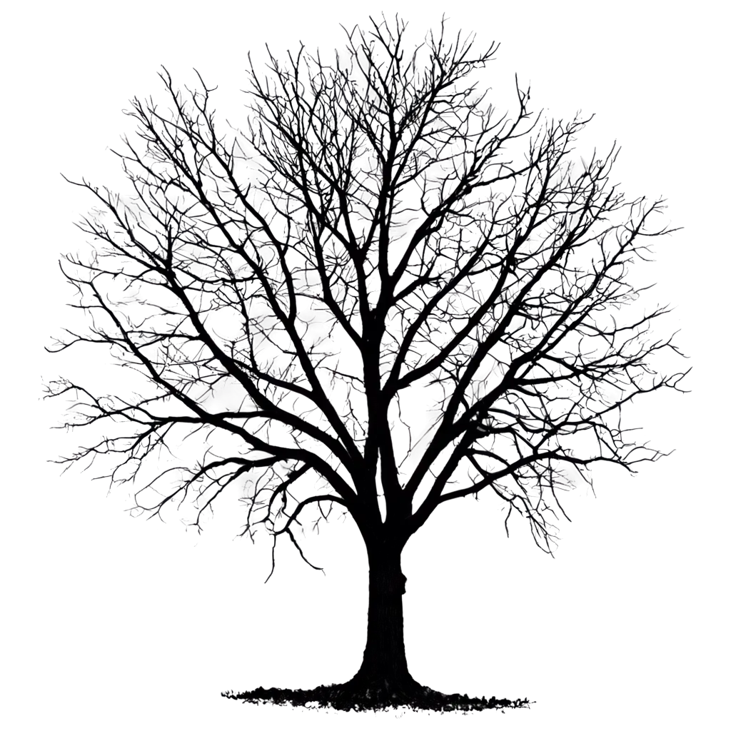 HighQuality-PNG-Image-of-a-Black-Dry-Ominous-Tree-for-Versatile-Usage