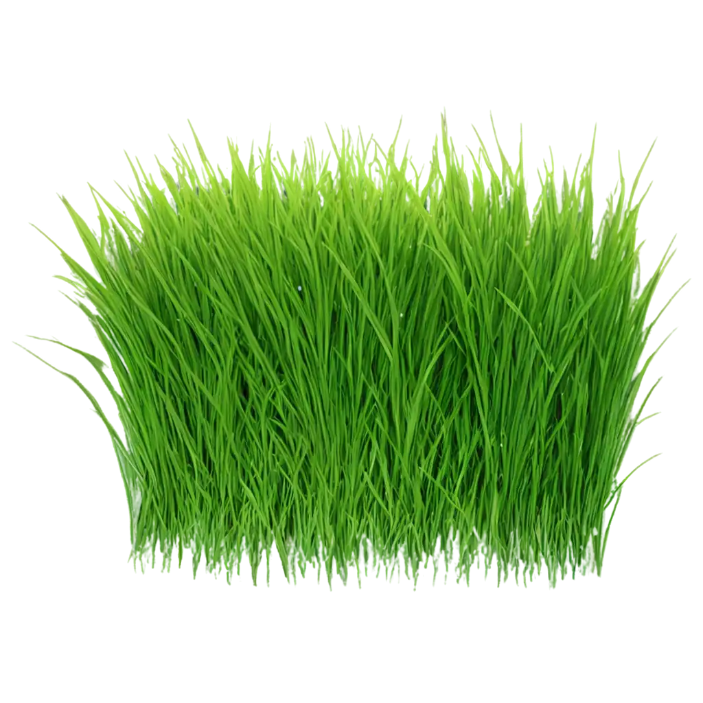 HighQuality-Grass-PNG-Image-for-Creative-and-Web-Use