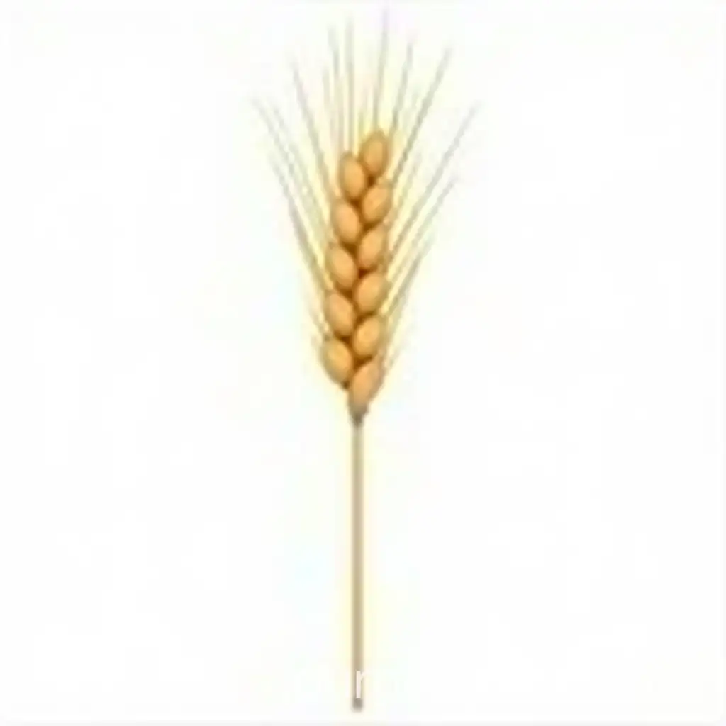 Healthy-Wheat-Cereal-Crop-with-Roots-on-White-Background