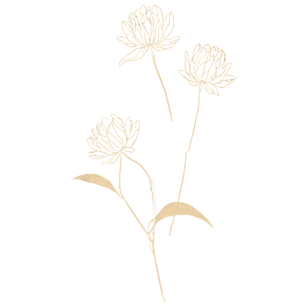 Elegant-Flower-Line-Art-PNG-with-Textured-Background-for-Stunning-Visuals