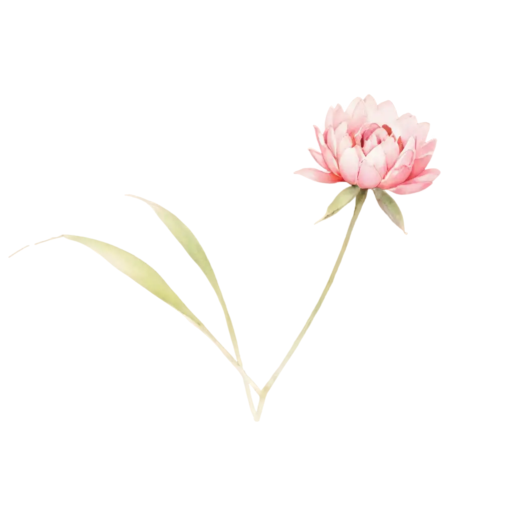 Watercolor-Light-Pink-Flower-PNG-Image-High-Quality-and-Versatile-for-Digital-Projects