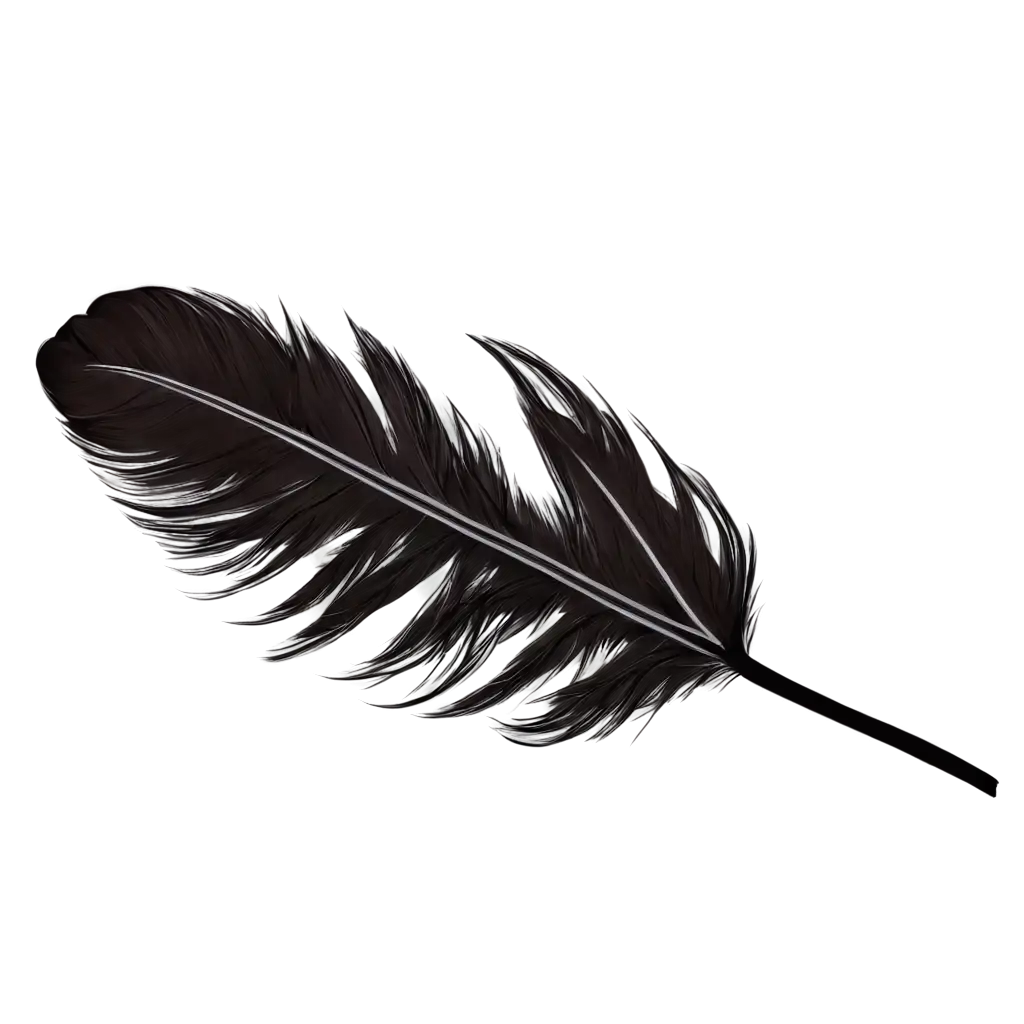 Black-Bird-Feather-Album-Design-PNG-for-HighQuality-Image-Creation