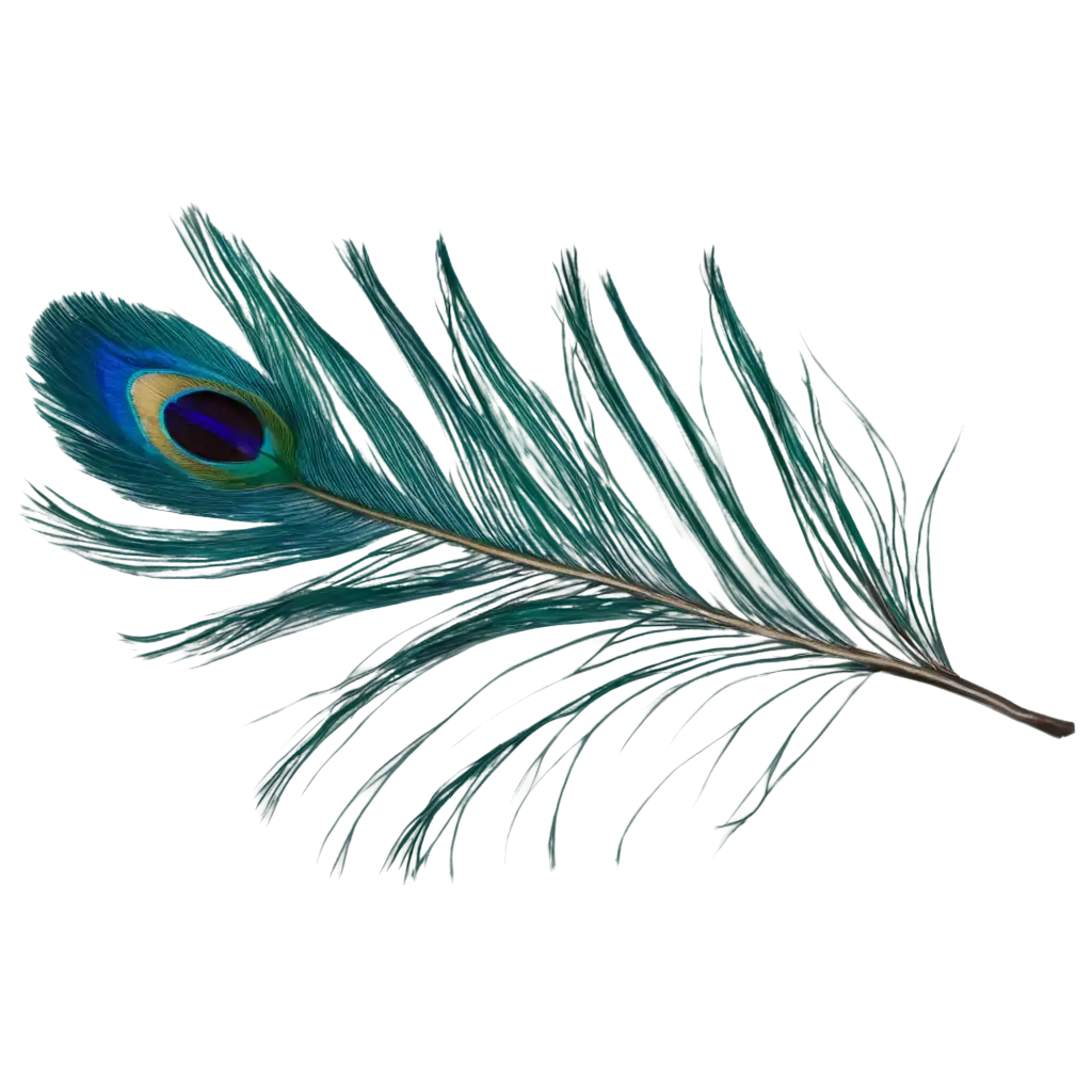 Exquisite-Peacock-Feather-PNG-Image-Detailed-Artistry-for-Visual-Appeal