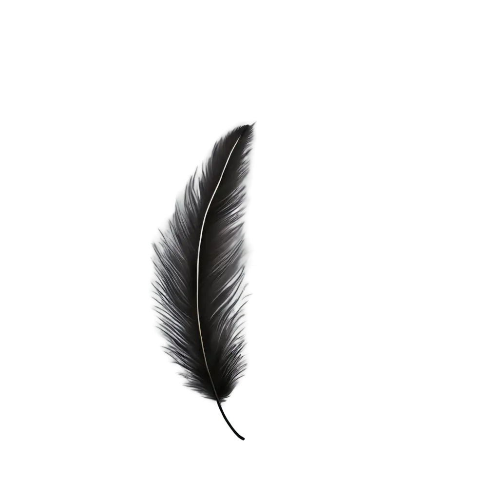 HighQuality-Feather-PNG-Image-for-Versatile-Design-Applications