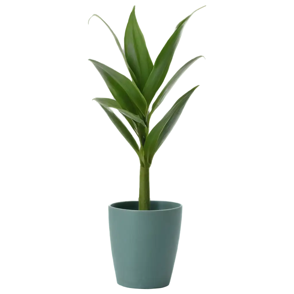 Vibrant-House-Plant-PNG-Perfect-for-Home-Decor-and-Digital-Design