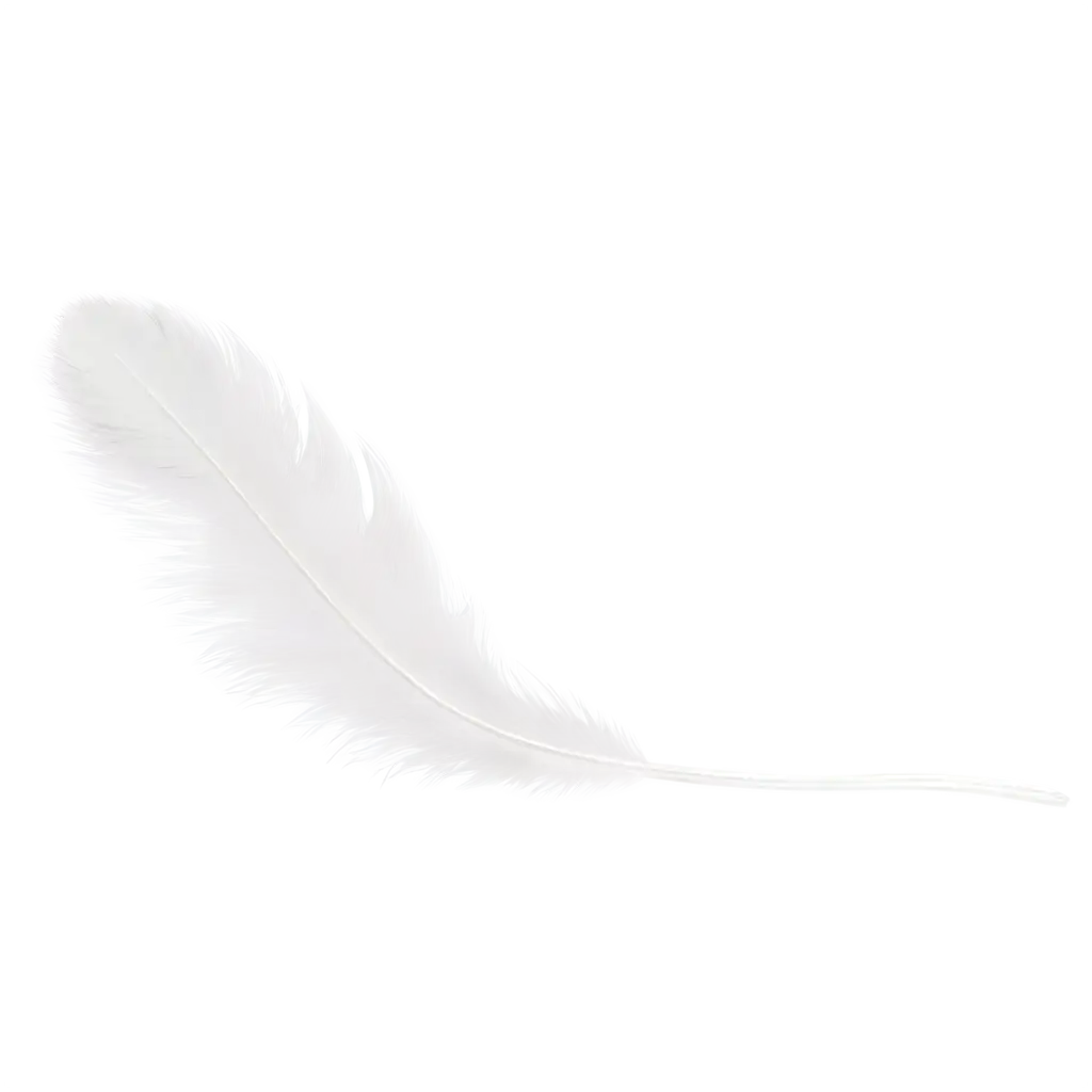 White-Single-Bird-Feather-with-Fur-PNG-High-Quality-Transparent-Background-Image