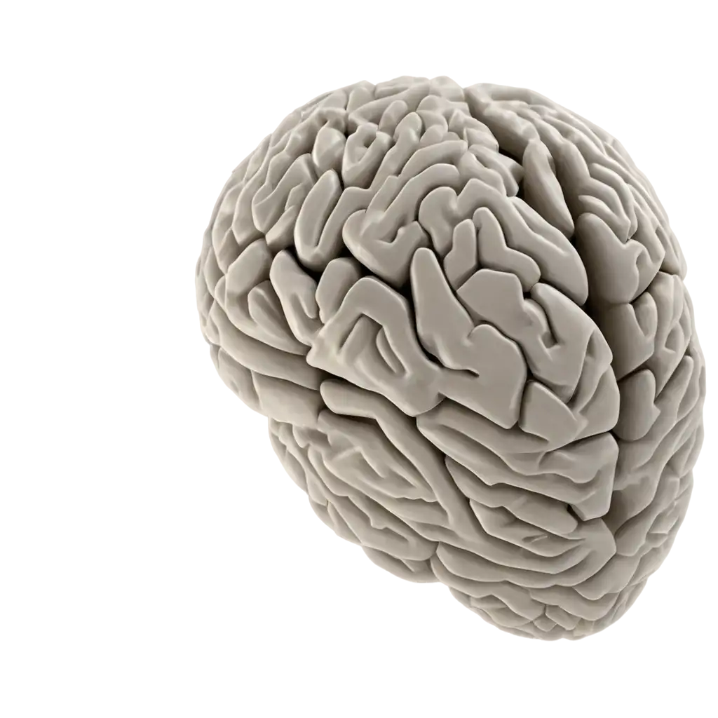 Brain-PNG-Image-for-Clear-HighQuality-Visuals-and-Versatile-Applications