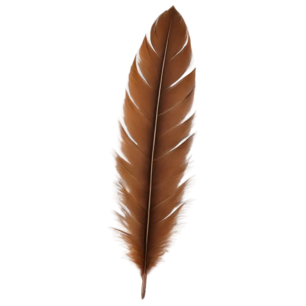 Single-Beautiful-Brown-Feathers-PNG-Image-Stunning-Detail-and-Clarity