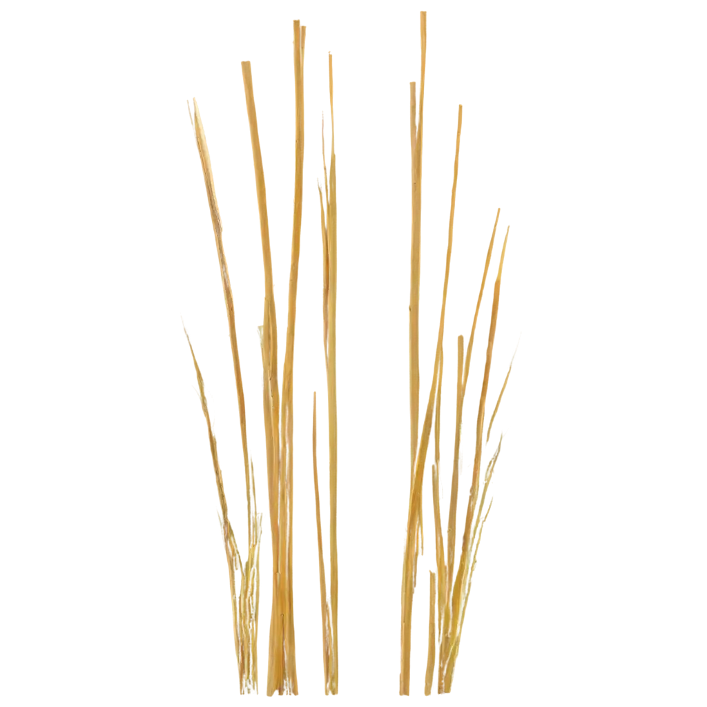 Enhanced-Reeds-PNG-Image-Capturing-Natures-Serenity-and-Detail