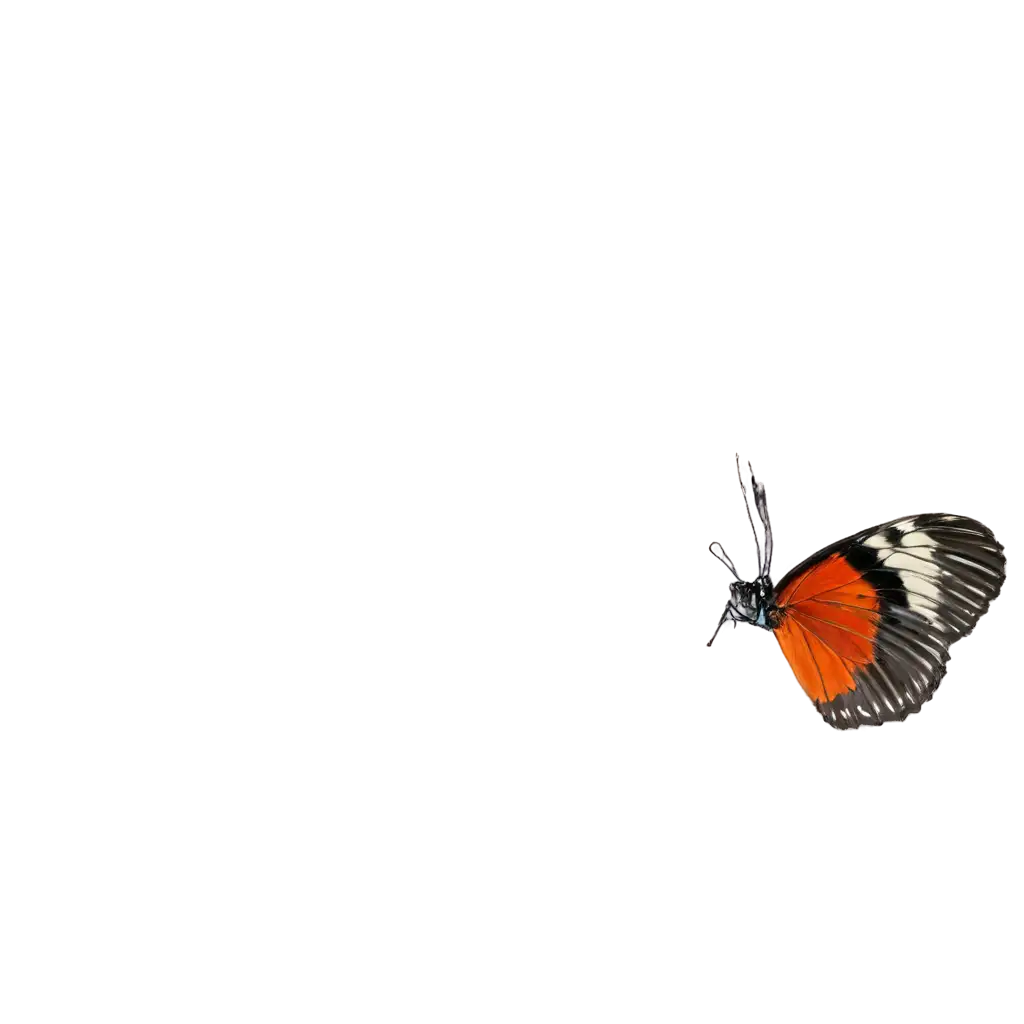 Flying-Butterfly-in-Garden-PNG-HighQuality-Transparent-Image-for-Versatile-Use