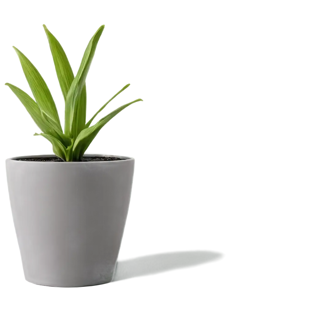 Premium-Quality-PNG-Plant-Pot-Image-Enhance-Your-Designs-with-High-Clarity