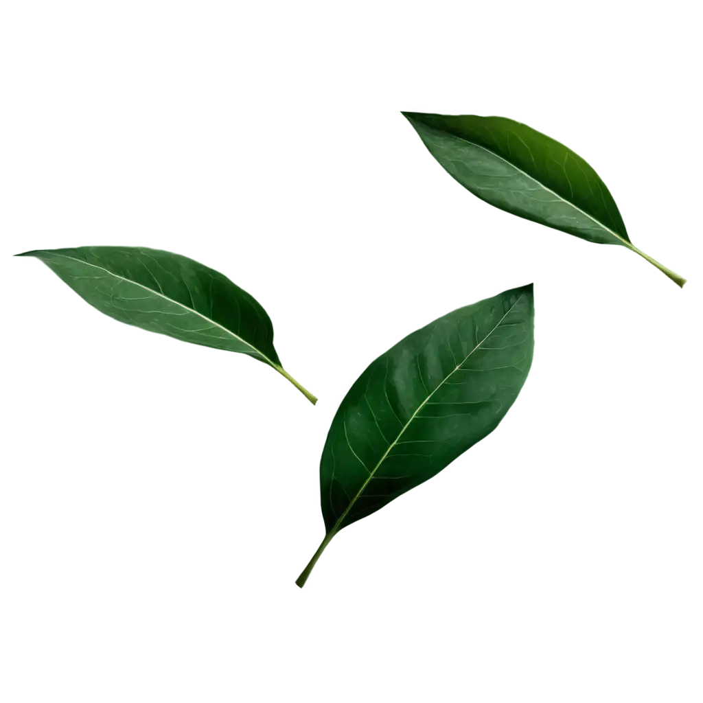 Green-Dark-Leaves-Flying-PNG-Image-Create-Stunning-Visuals-with-Dynamic-Leaf-Motion