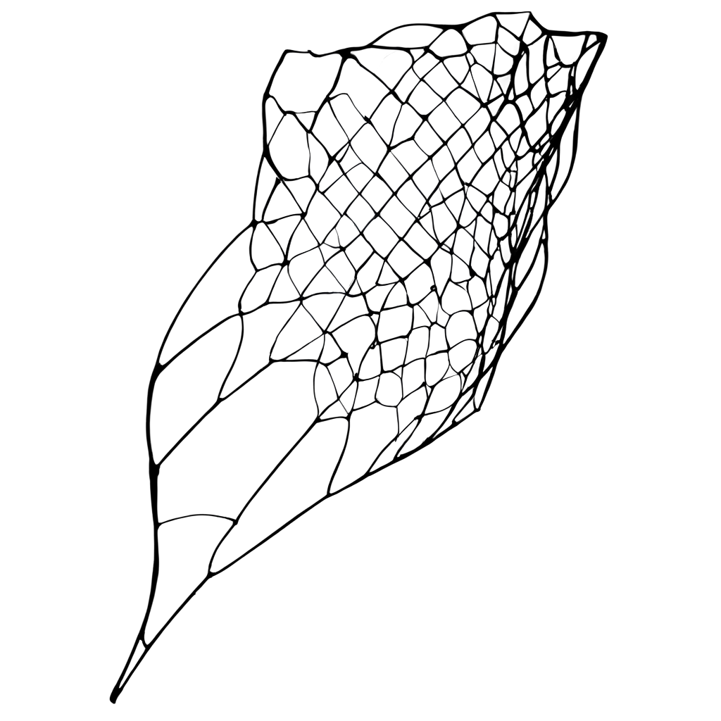 Black-Net-Animation-PNGSEO-image-prompt-creation-for-HighQuality-Visuals-and-Web-Integration