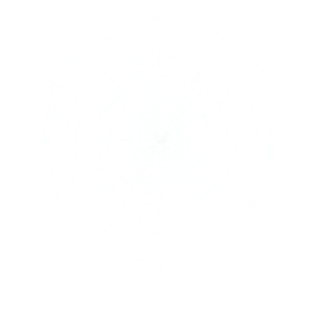 Intricate-Spiderweb-PNG-Capturing-Natures-Complexity-in-HighQuality-Imagery