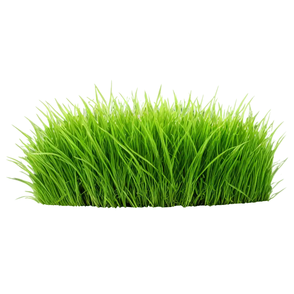 HighQuality-Grass-PNG-Image-for-Versatile-Design-and-Web-Use