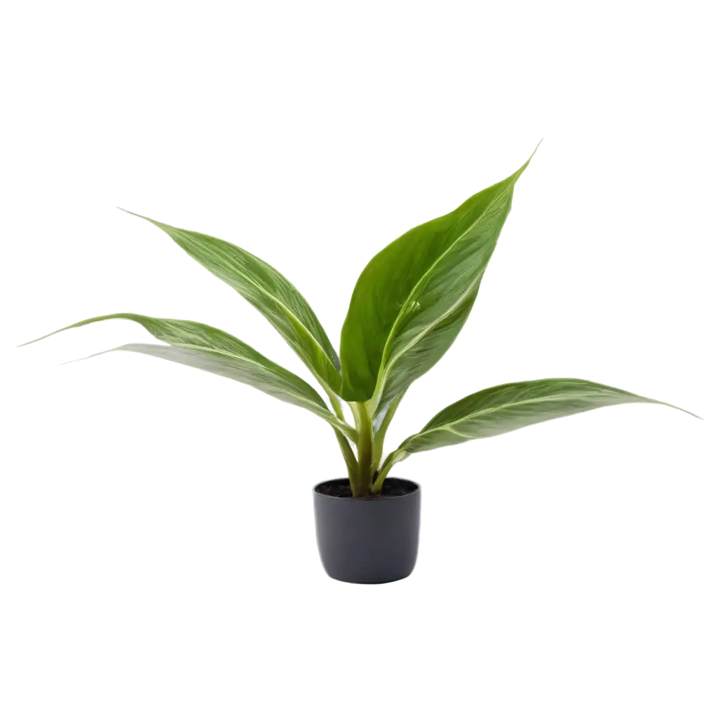 HighQuality-PNG-Image-of-a-Houseplant-in-a-Pot-for-Versatile-Use